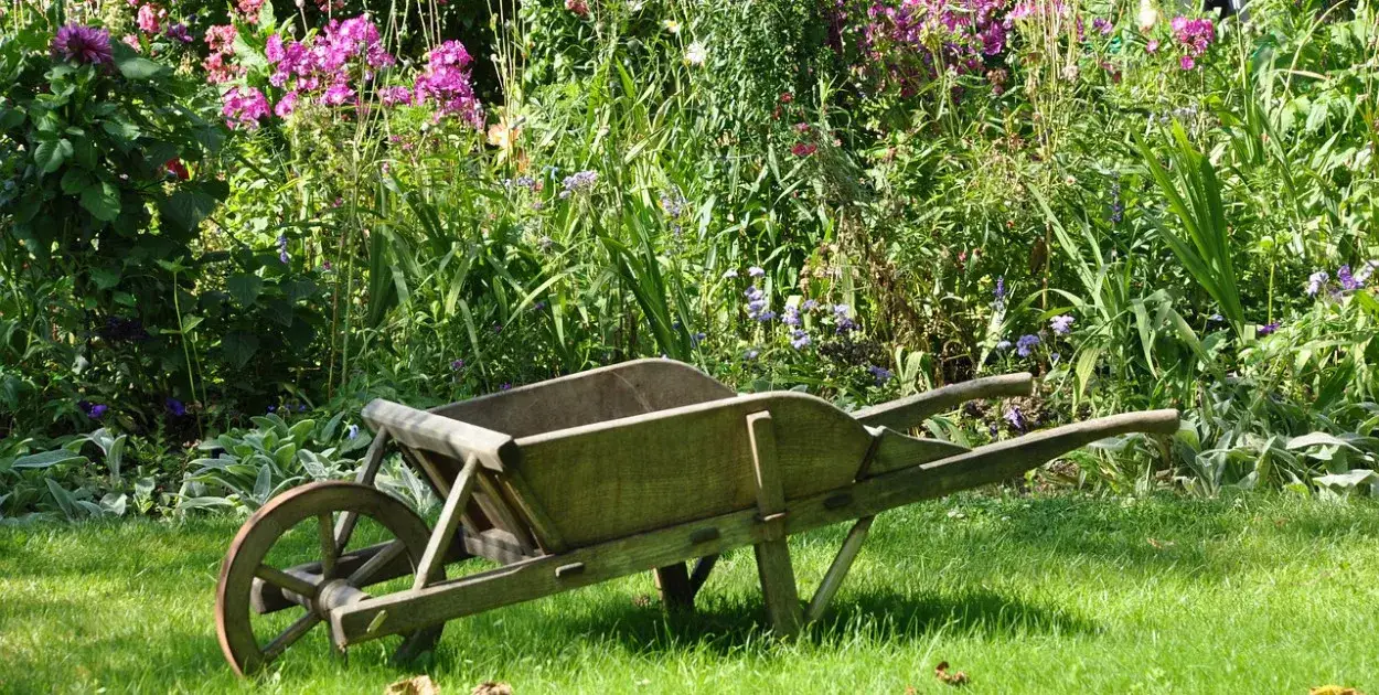 Kiedy stosować nawóz Yara Mila Complex, aby uniknąć błędów w pielęgnacji?