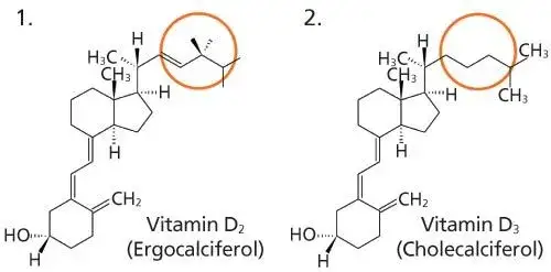 Die Wahrheit über Vitamin D2: Vorteile, Quellen und Dosierung erklärt