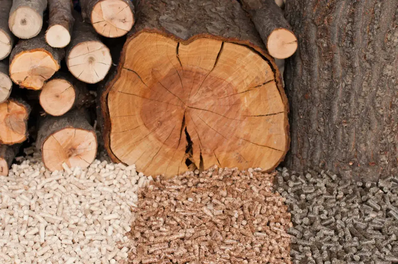 Jak robi się pellet: krok po kroku do efektywnej produkcji paliwa