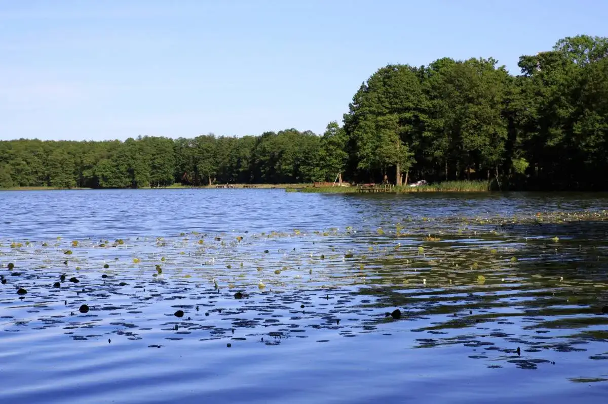 Jezioro Królewskie w Myśliborzu: malowniczy zakątek dla wędkarzy i turystów