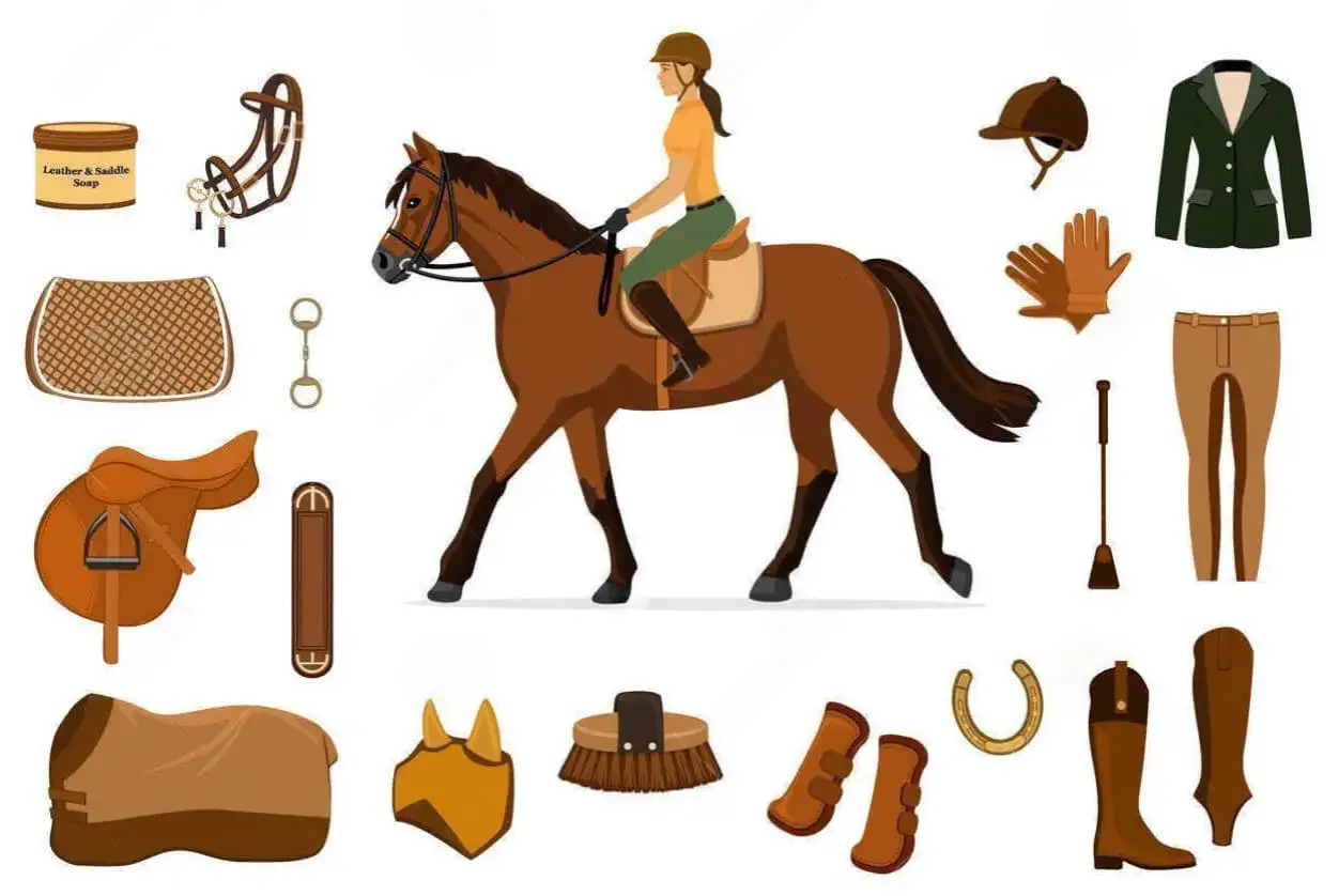 Jazda konna wymaga kompletnego wyposażenia: siodło, ogłowie, czaprak, bryczesy, kurtka, kask, rękawiczki, buty, szczotki, podkowy i koc dla konia.