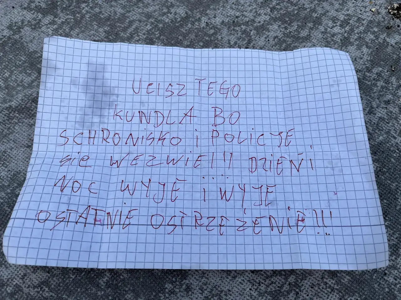 Jak zgłosić szczekającego psa w bloku i odzyskać spokój