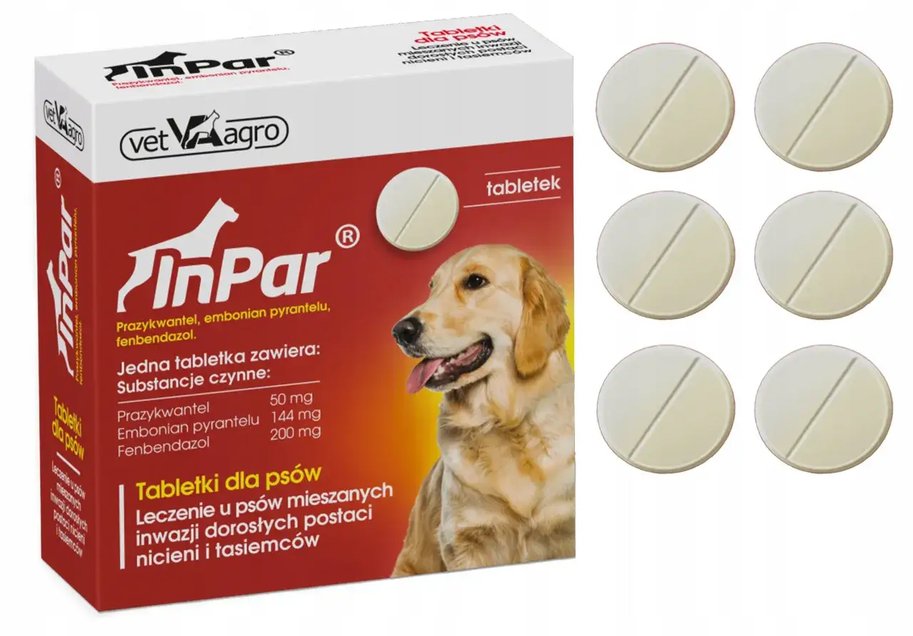 Ile kosztują tabletki na odrobaczanie psa? Ceny, które zaskakują