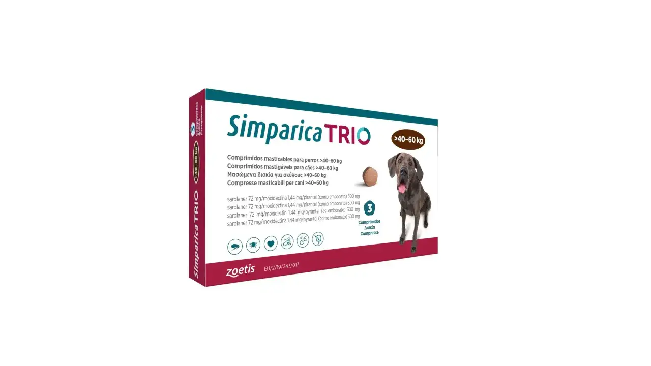 Tribiotic dla psa? Zanim użyjesz: ryzyko i bezpieczne alternatywy