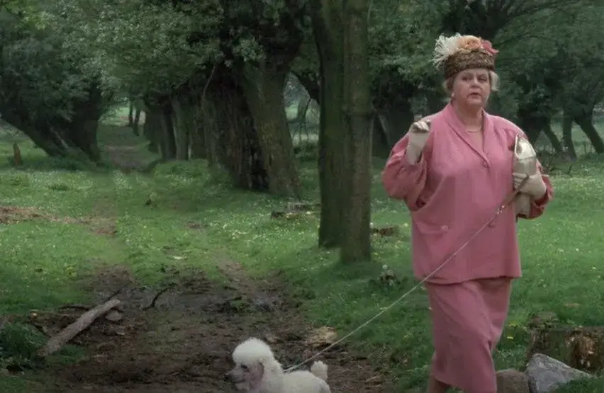 Film Kogel Mogel obsada: kto gra główne role w filmie?