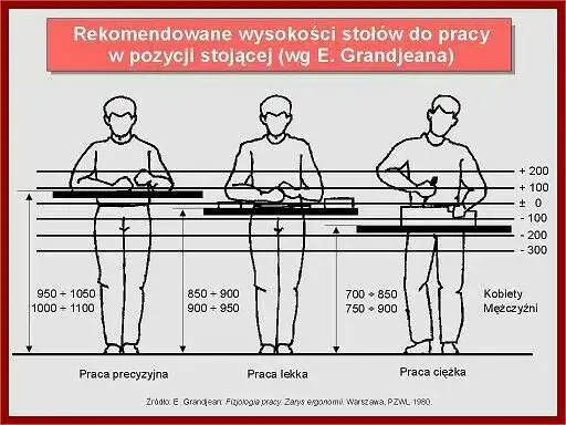 Optymalna wysokość blatu warsztatowego? Zadbaj o komfort i plecy!