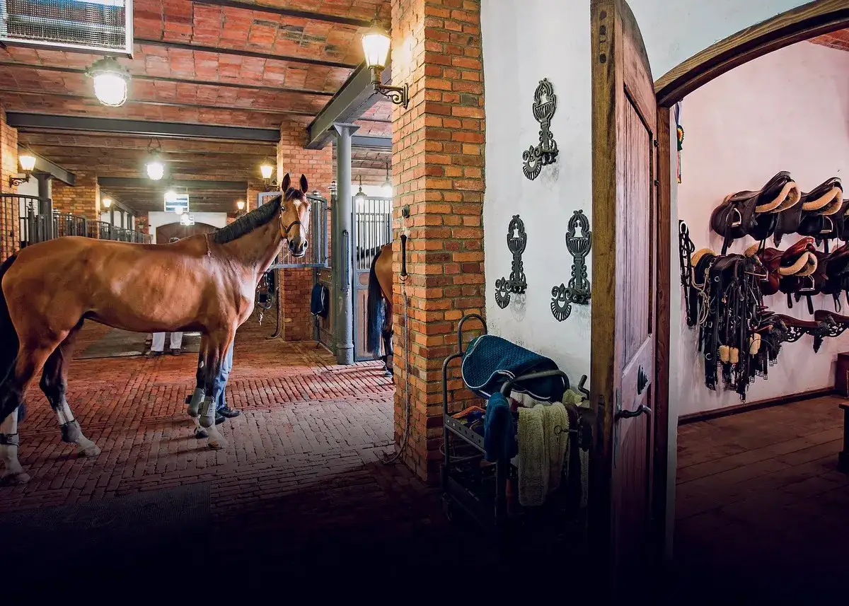Hotele ze stadniną koni: Twój idealny urlop w siodle czeka!