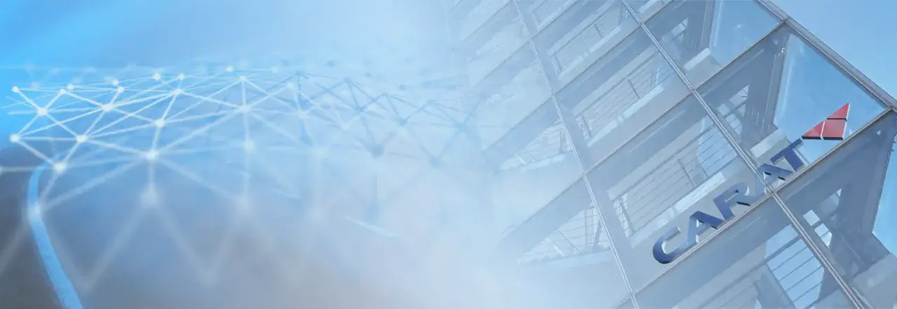 CARAT Autoteile: Wichtige Informationen über Dienstleistungen und Netzwerk