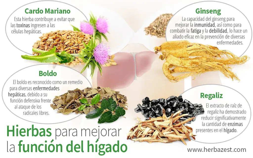 Remedios naturales para el hígado: ¿Son seguros y eficaces?