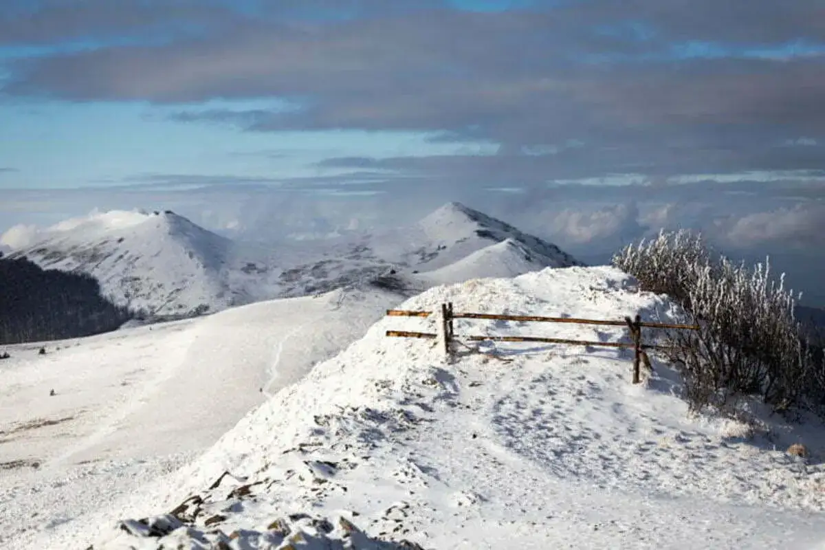 Zimowy krajobraz Bieszczadów: ośnieżone szczyty, drewniane ogrodzenie i krzewy.