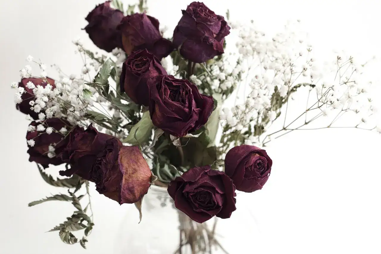 Suszenie kwiatów na płasko: Sekret trwałości i pięknych dekoracji