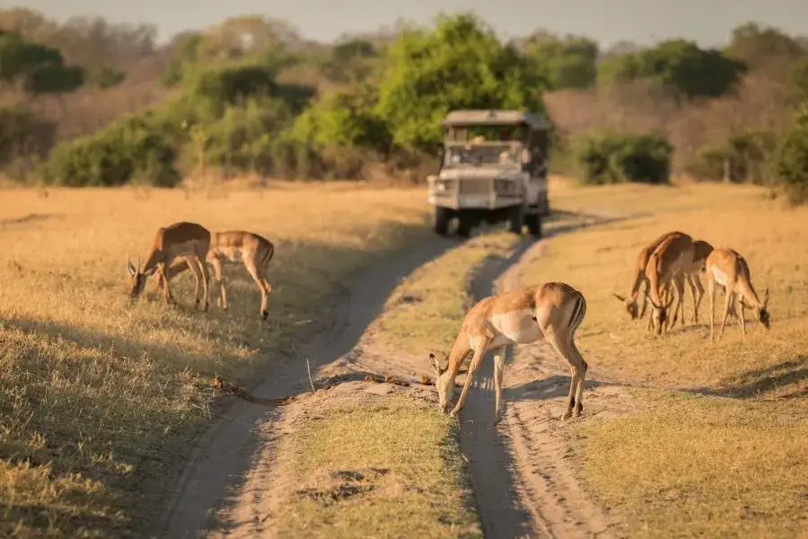 Czy Republika Południowej Afryki jest bezpieczna dla turystów?