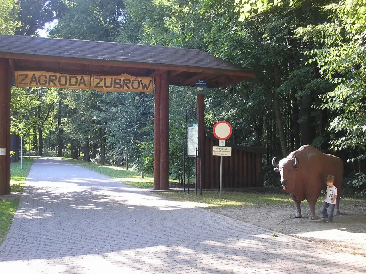 Zagroda Żubrów Pszczyna: Planuj wizytę! Ceny, dojazd, atrakcje