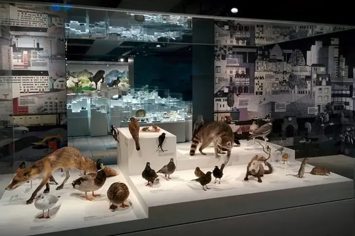 Muzeum Sztuki w Bazylei – odkryj fascynujące kolekcje i historie