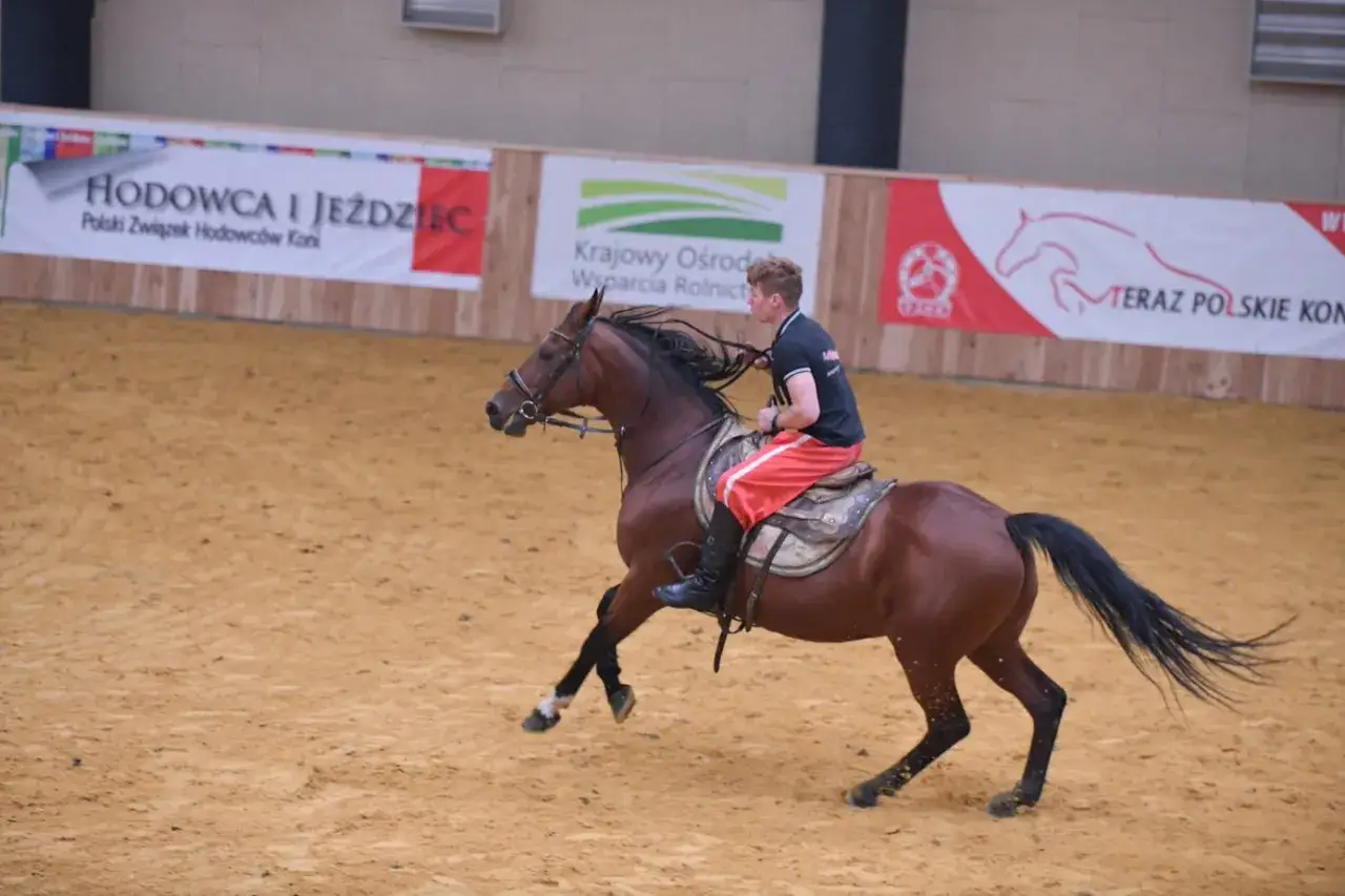 Studia hipologiczne: Gdzie w Polsce rozwijać pasję do koni?