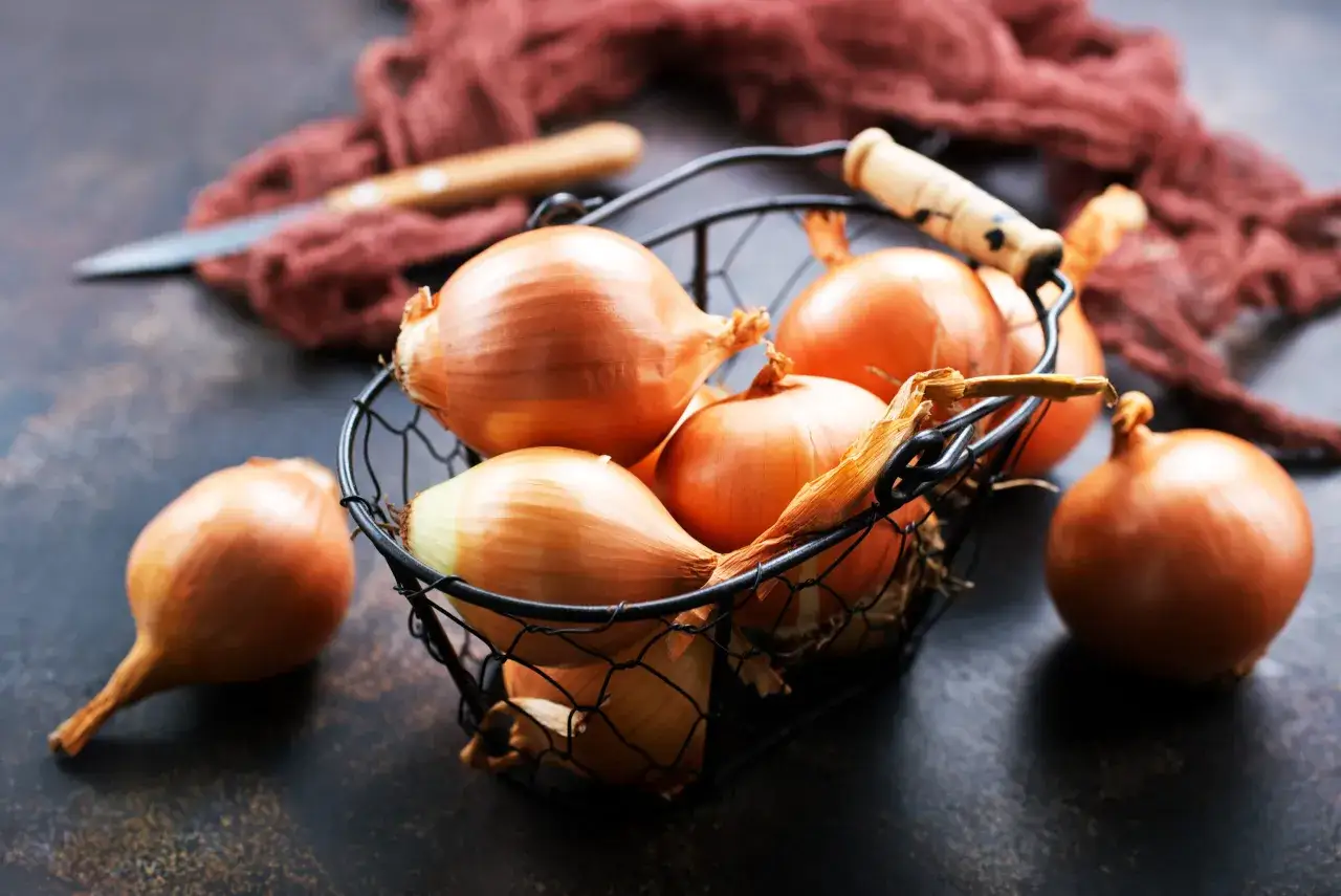 Koszyk z cebulami. Zastanawiasz się, czy można mrozić cebulę? Oto świeże cebule, gotowe do przechowywania.