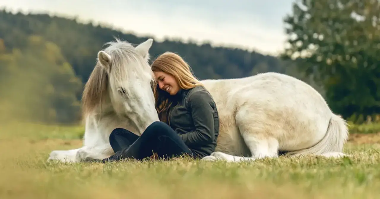 Koń, który mówi? Odkryj Pana Eda i prawdziwe sekrety koni