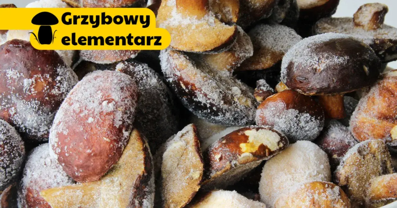 Grzyby gotowe do mrożenia, posypane cukrem pudrem. Dowiedz się, jak przygotować grzyby do mrożenia, by cieszyć się ich smakiem przez cały rok.
