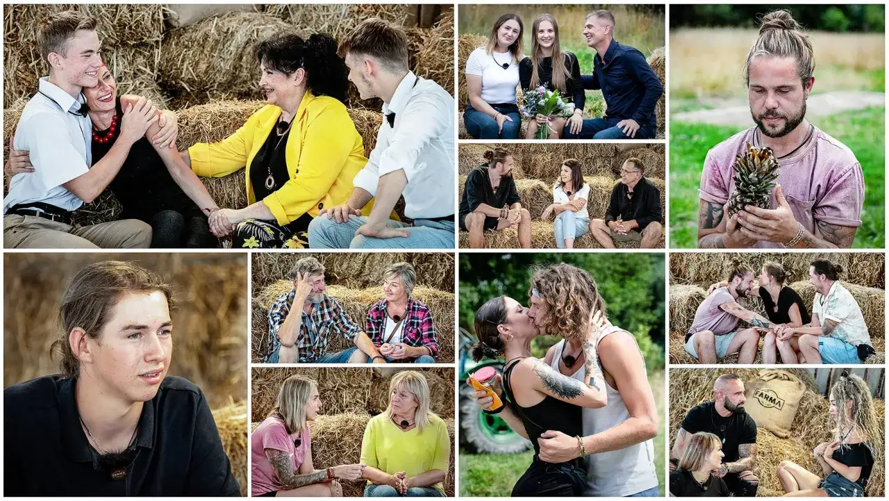 Profil sezon 10: Zobacz kompletną listę wszystkich odcinków serialu