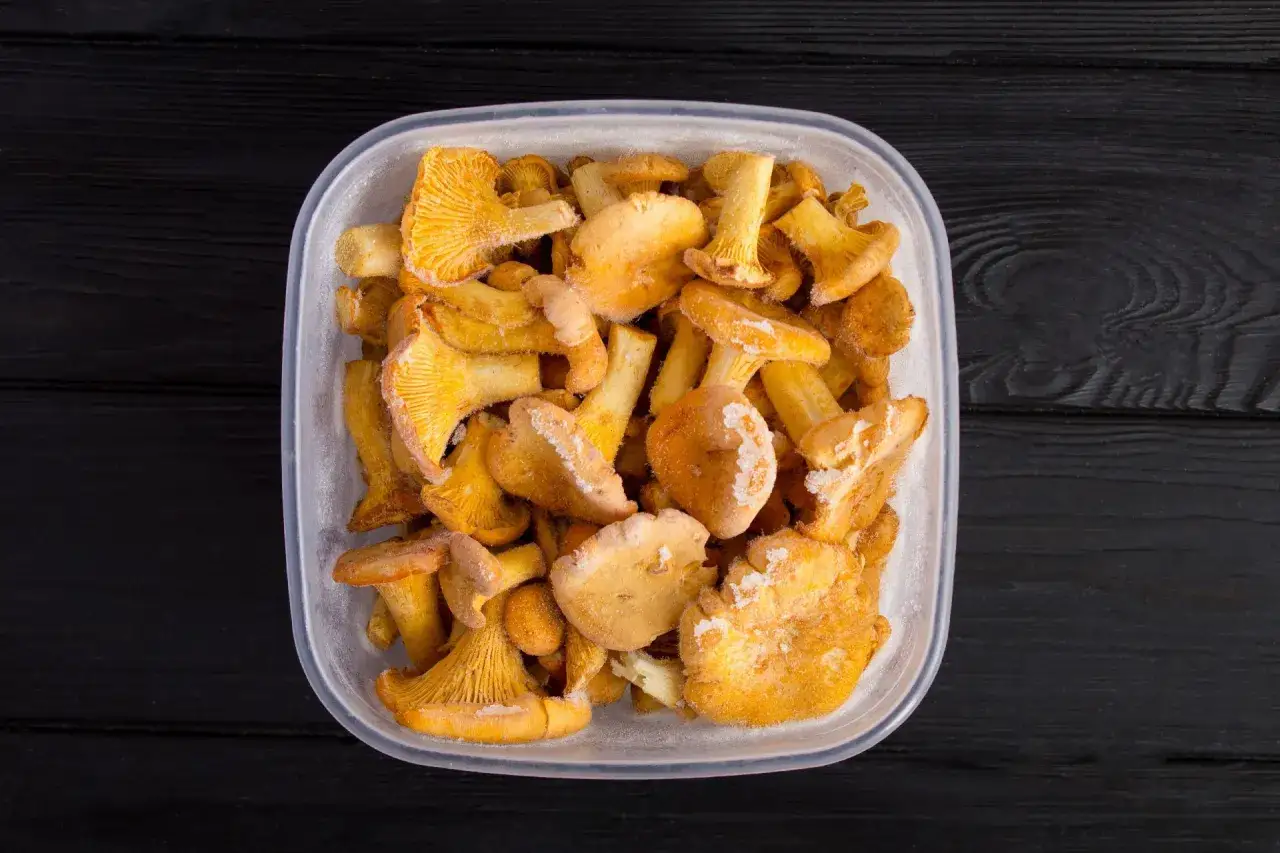 Zamrożone kurki w pojemniku, gotowe do przechowania. Prosty sposób na to, jak mrozić kurki, by cieszyć się ich smakiem przez cały rok.