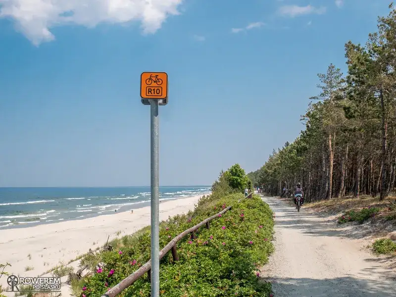 Jak zaplanować wycieczkę rowerem po Mierzei Wiślanej: praktyczny poradnik