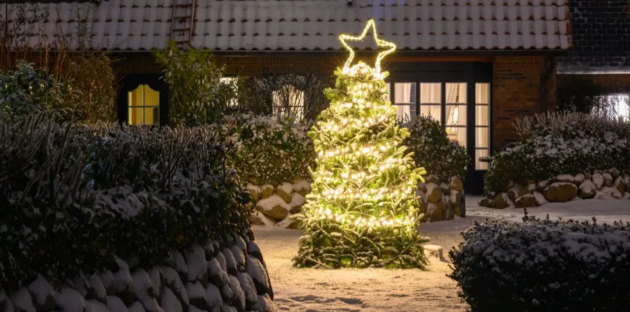 Śnieżny ogród z choinką ozdobioną lampkami i gwiazdą na szczycie. Piękny przykład, jak udekorować ogród na święta bożego narodzenia.