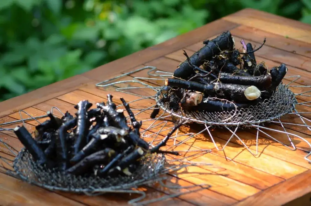 Żywokost na żylaki: Roślinne sposoby na poprawę krążenia