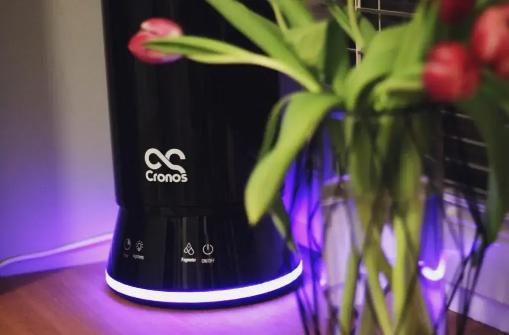 Nawilżacz powietrza z jonizatorem: wszystko co musisz wiedzieć o działaniu