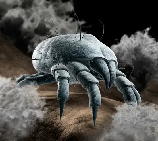 Sennik Kurz na Podłodze - Objawienie tajemniczych symboli