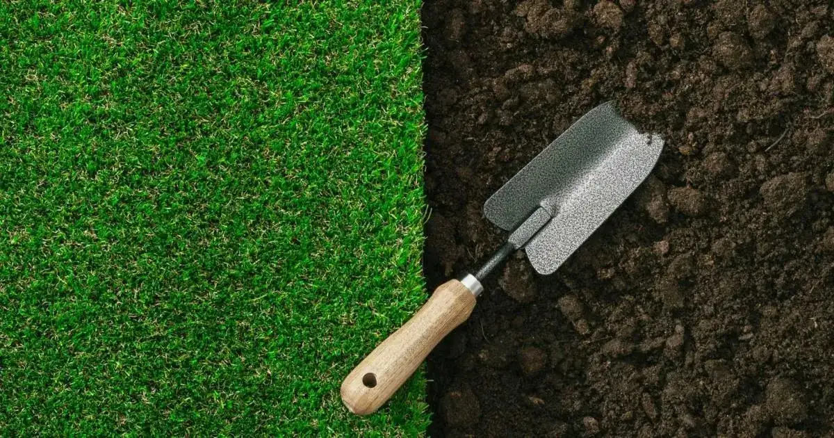 Jak założyć trawnik na chwastach i uniknąć problemów z pielęgnacją