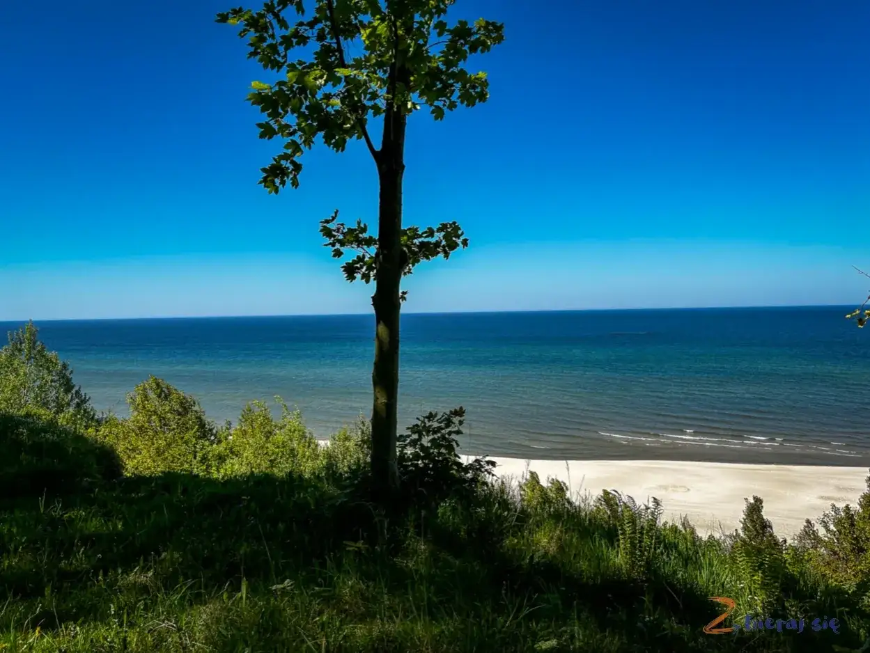 Jastrzębia Góra: Gdzie leży i dlaczego to idealna baza wypadowa?