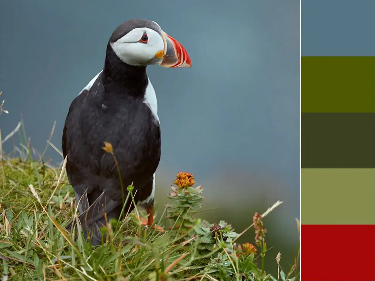 Zespół barw w obrazie: Jak świadomie budować nastrój?