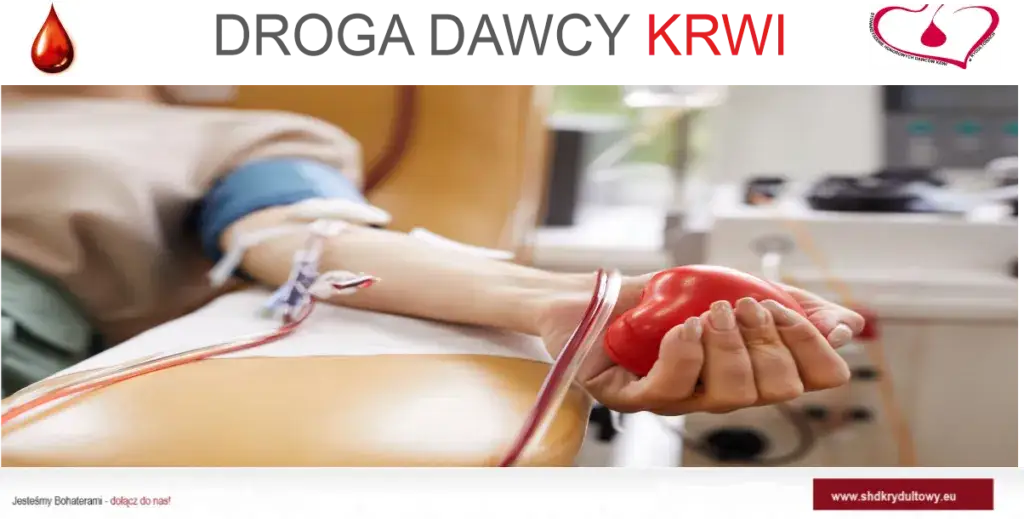 Jak często oddawać krew w RCKiK? Zasady i terminy donacji