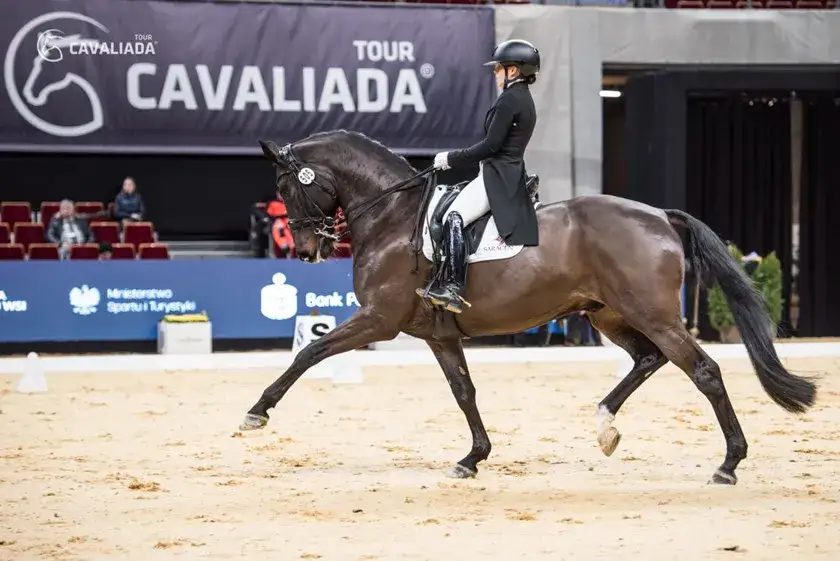 Kategorie wiekowe jeździectwo - poznaj wszystkie klasyfikacje zawodników