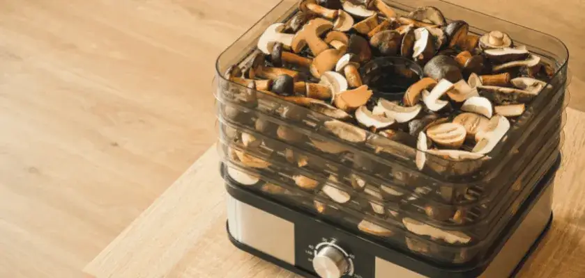 Ile kosztuje suszenie grzybów w suszarce? Oblicz i oszczędź z PV!