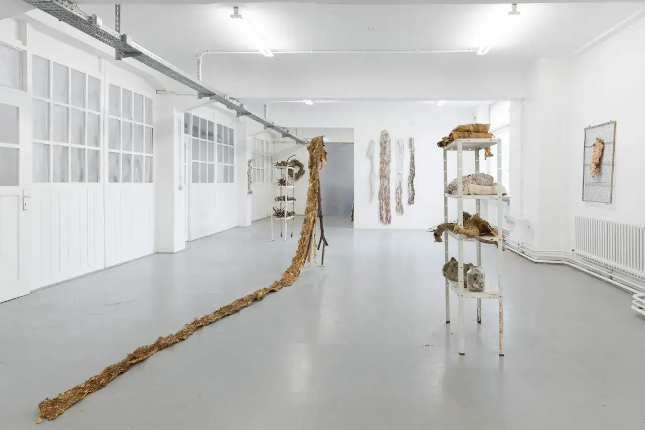 Academie der schönsten Künste Stuttgart: Events & Genuss