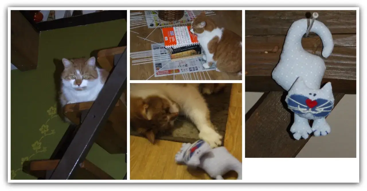 Jak uszyć kota przytulankę? Prosty przewodnik krok po kroku