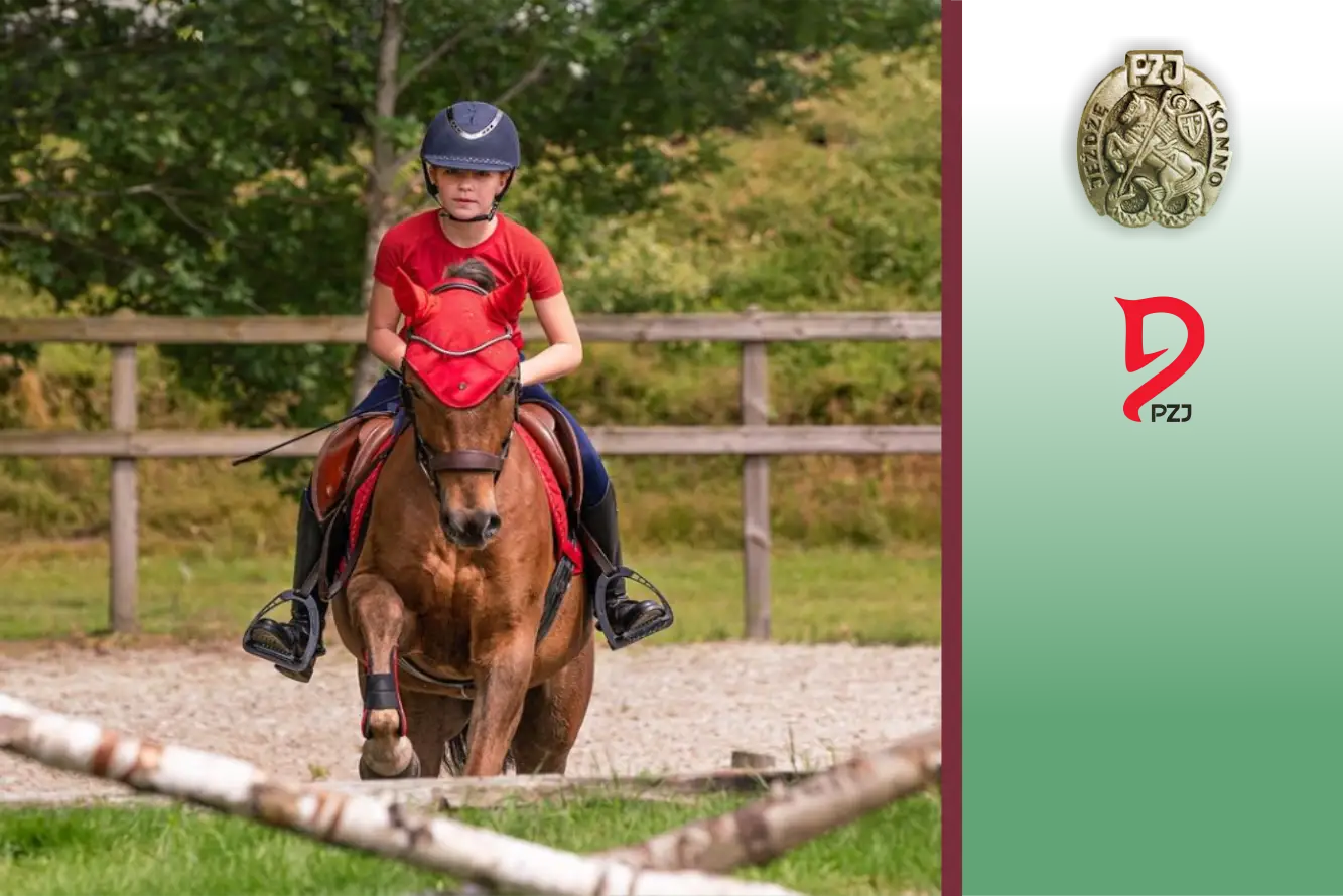 Odznaki jeździeckie PZJ: Jak zdać egzamin? Wymagania, porady