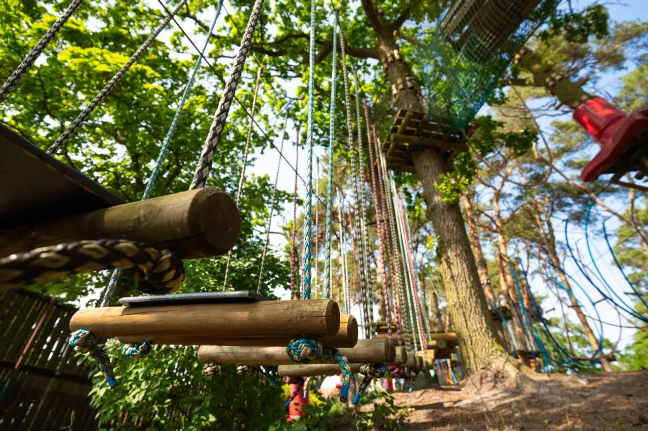 Park linowy Stegna - emocjonujące trasy i bezpieczeństwo dla każdego