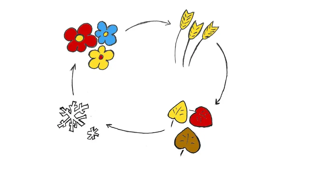 Cykl pór roku: kwiaty, kłosy zboża, liście, śnieżynki. Ilustracja nawiązuje do mitu o Demeter i Korze.