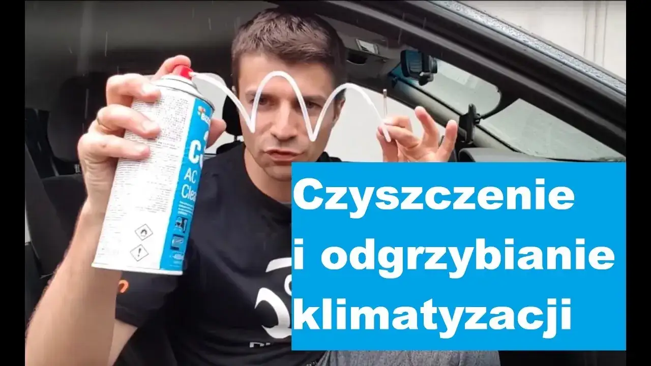 Odgrzybianie klimatyzacji samochodowej: Jak usunąć grzyb i smród?