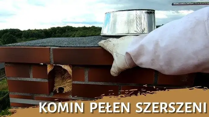 Jak usunąć pszczoły z komina: bezpieczne metody i porady ekspertów