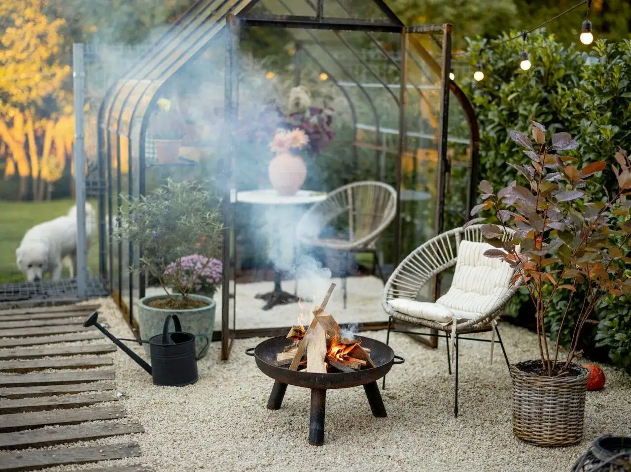 Przytulne ognisko w ogrodzie, dym unosi się w powietrzu. Obok szklarnia, krzesła i pies.