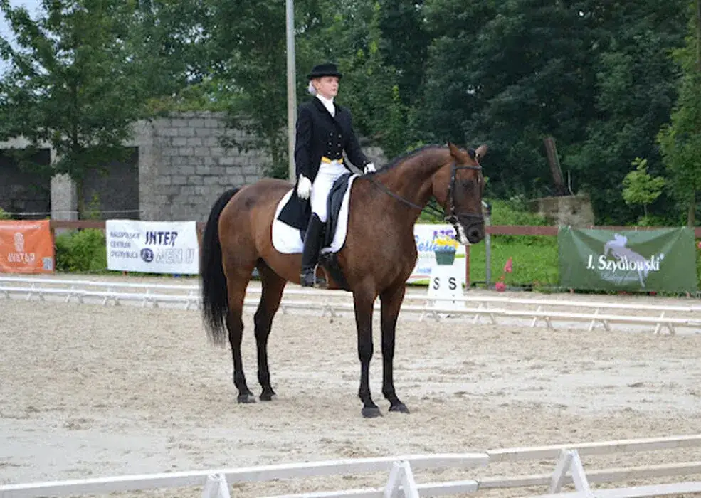 Jak zatrzymać konia: skuteczne metody i techniki dla każdego jeźdźca