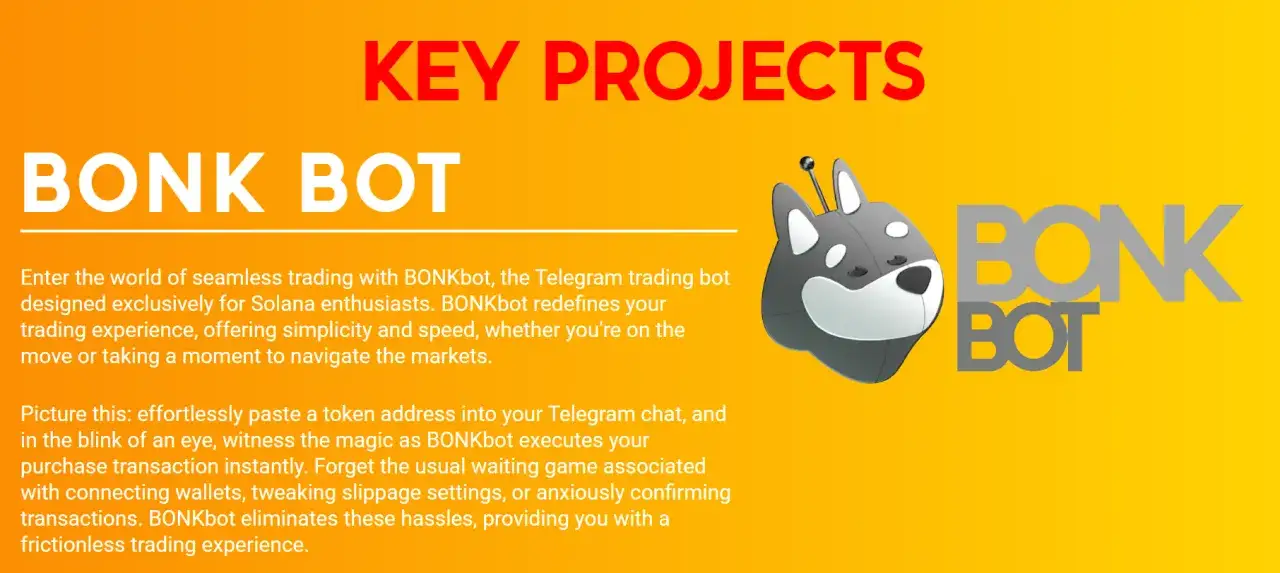 Bonk (BONK): Czym jest memecoin na Solana? Zrozum go!