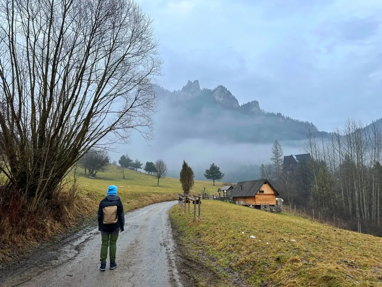 Wysoki Wierch: Narty w Bukowinie czy szlaki w Pieninach? Wybierz cel!
