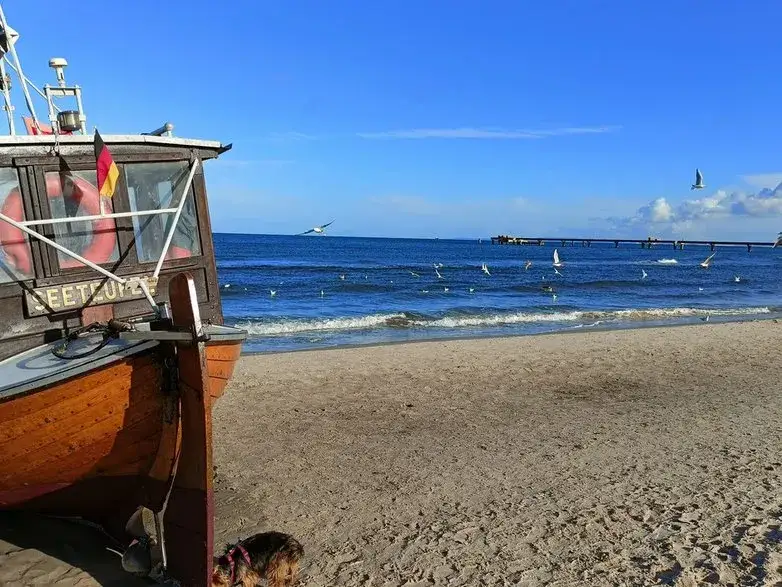 Jak dojechać na wyspę Uznam - najtańsze i najszybsze opcje transportu