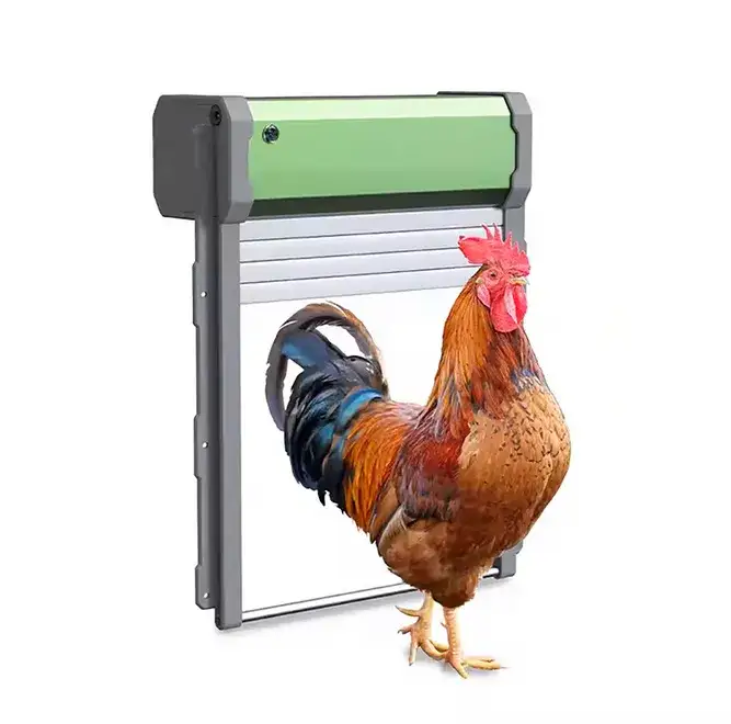 Jak zrobić automatyczne drzwi do kurnika - proste i tanie rozwiązania