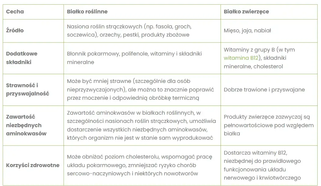 Białko roślinne: Czy jest pełnowartościowe? Obalamy mity!