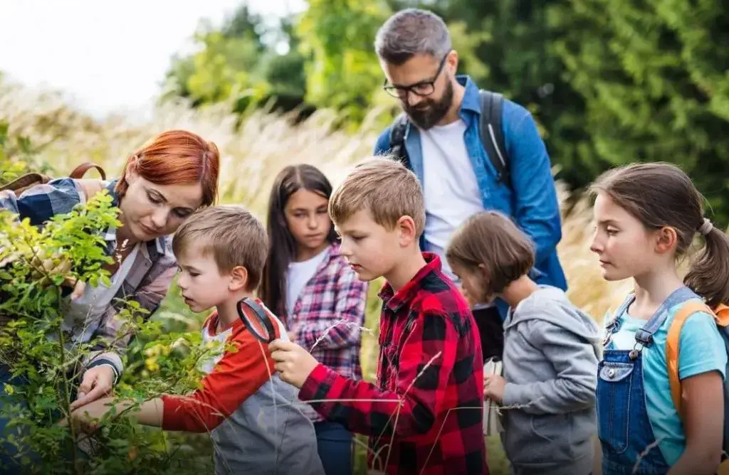Ile zarabia wychowawca na kolonii? Zaskakujące różnice w wynagrodzeniu